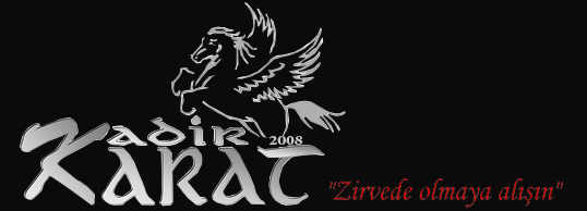 karat kiralık vinç